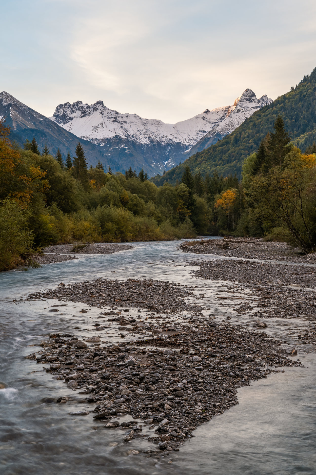 Shallow and very clear mountain river flows in the foreground. In the back, there is a line of early autumn tree and behind them rise the mountains. Furtherst and tallest ones have snow caps. Godlen morning light slightly touches the peaks, and behind them one can see a sky with a clouds lit by the same yellow morning light.