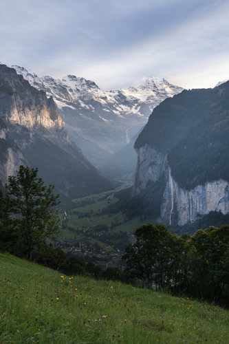 View on a Lauterbrunnen valley fom above. Town surrounded by the tall mountains and huge waterfalls. Mountains are softly lit by a setting sun. In the forground there is a green field with some late summer flowers blooming.